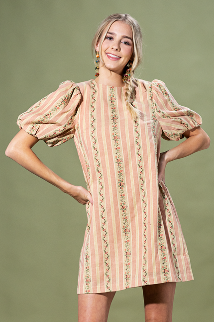 Rosewood Stripe Mini Dress