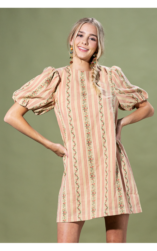 Rosewood Stripe Mini Dress