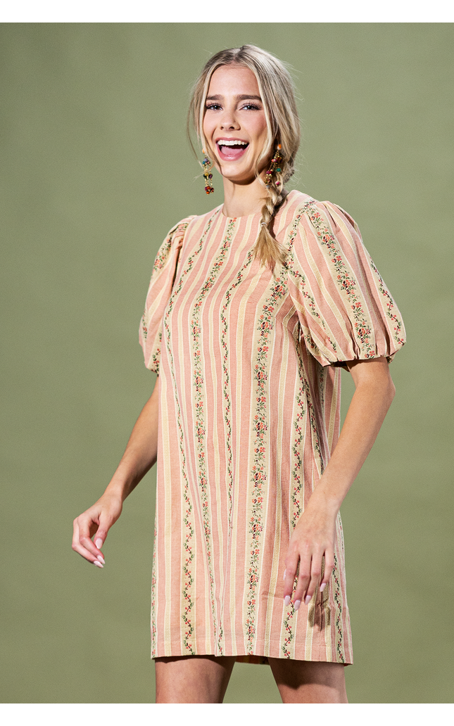 Rosewood Stripe Mini Dress