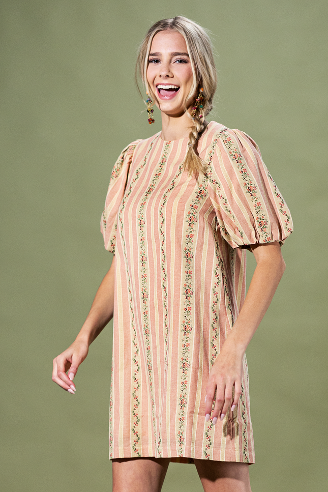Rosewood Stripe Mini Dress