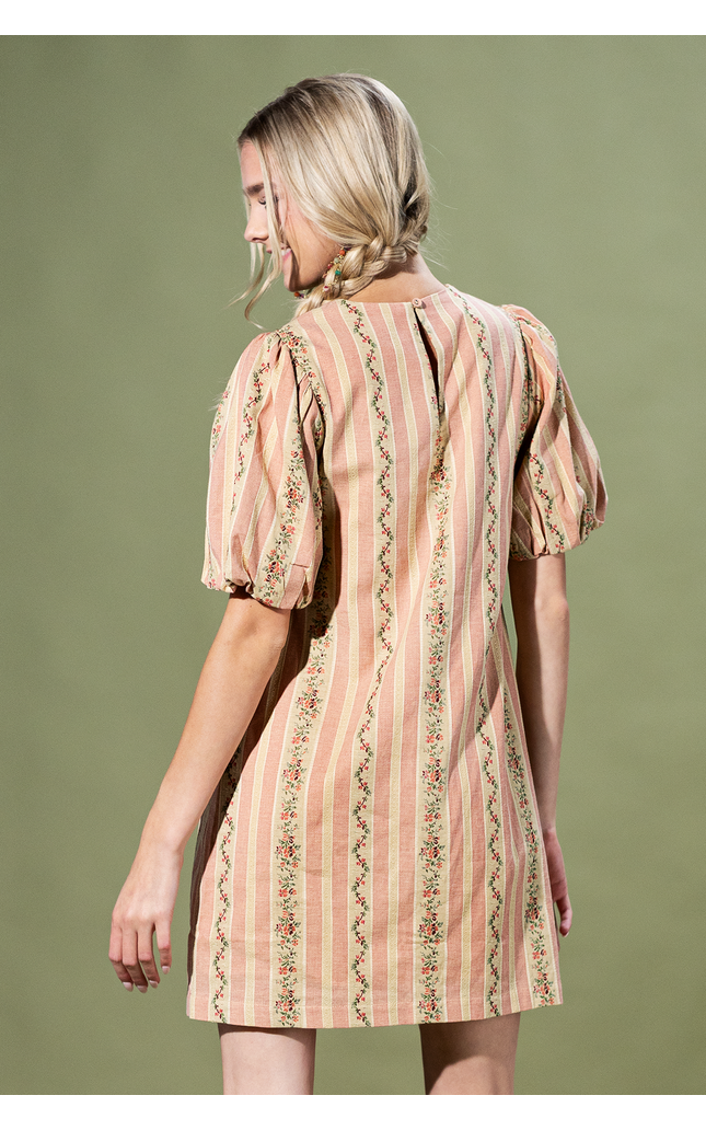 Rosewood Stripe Mini Dress