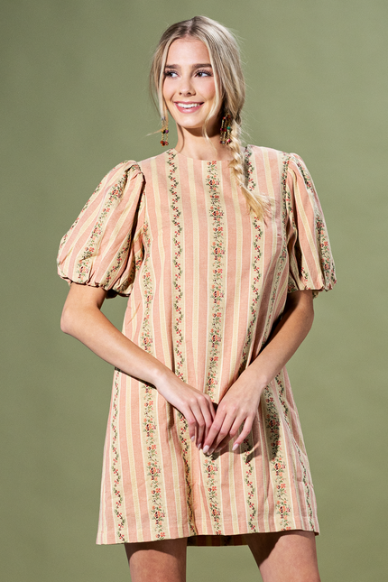 Rosewood Stripe Mini Dress