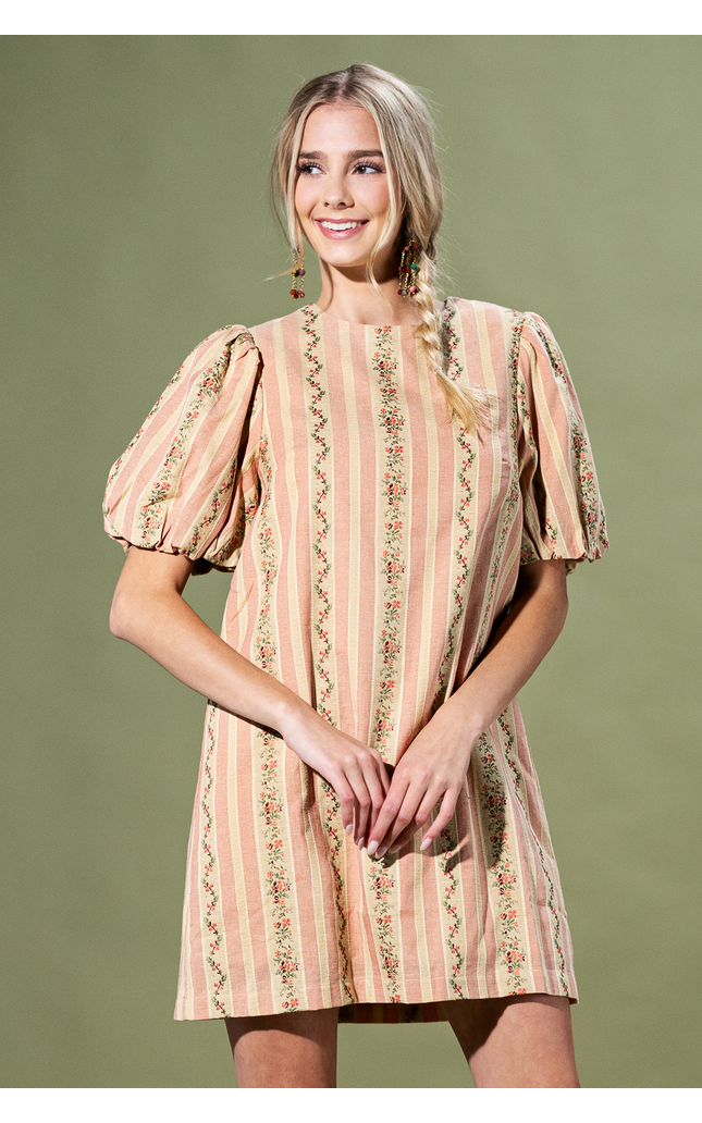 Rosewood Stripe Mini Dress
