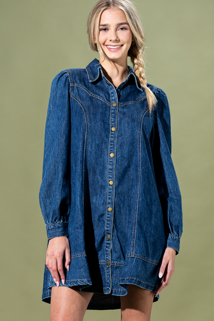 Teton Trail Denim Button Up Dress