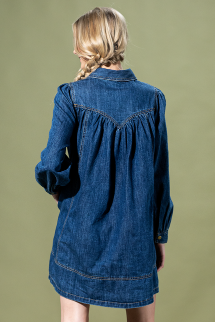 Teton Trail Denim Button Up Dress