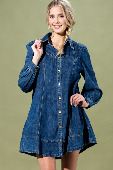 Teton Trail Denim Button Up Dress