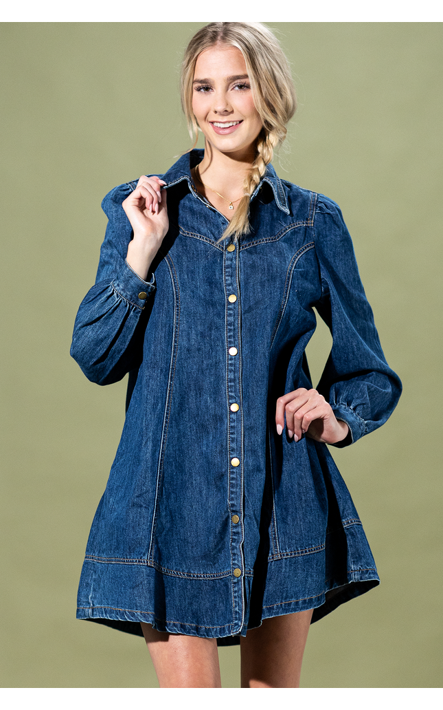 Teton Trail Denim Button Up Dress