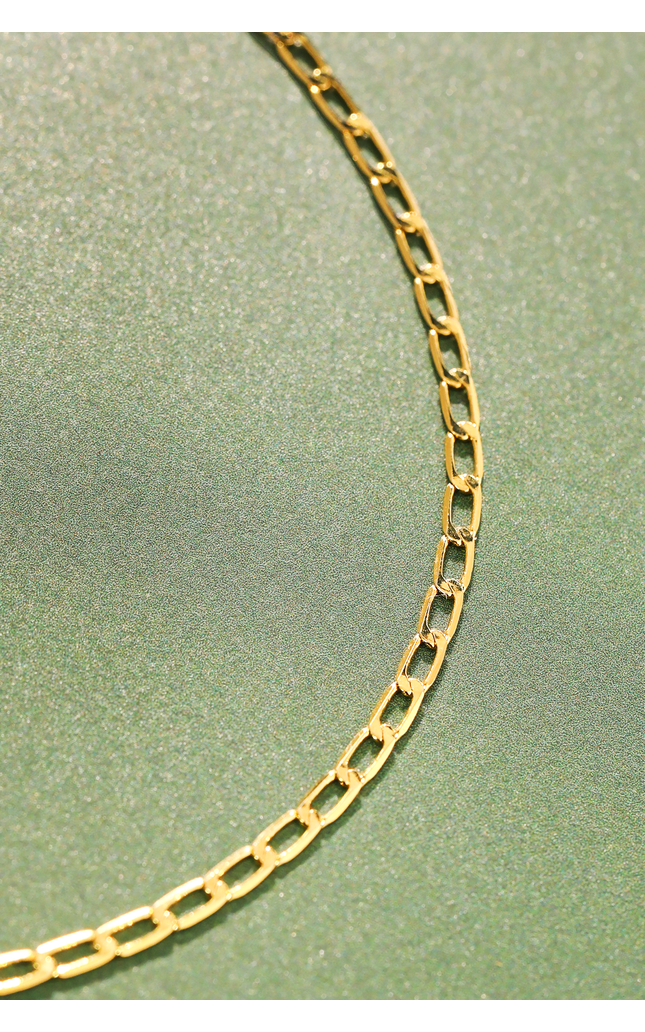 Desert Flat Chain Link Necklace