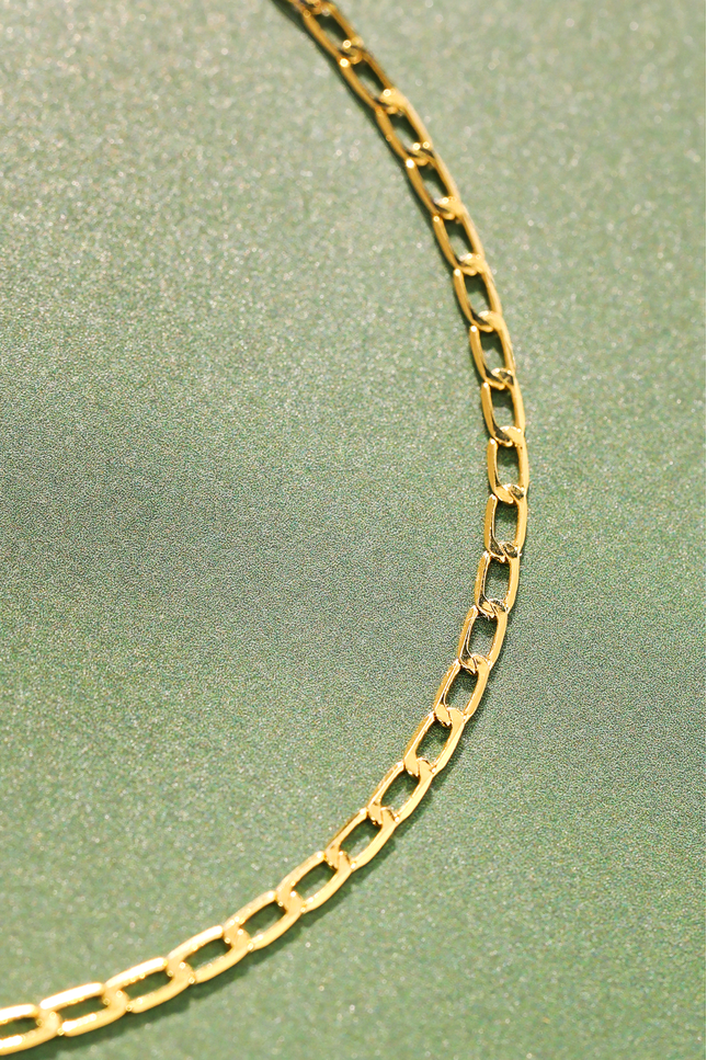 Desert Flat Chain Link Necklace