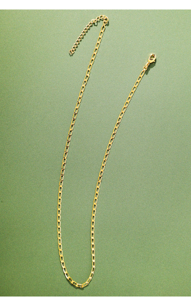 Desert Flat Chain Link Necklace