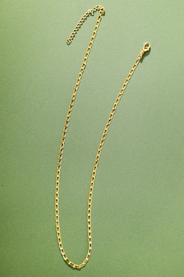 Desert Flat Chain Link Necklace