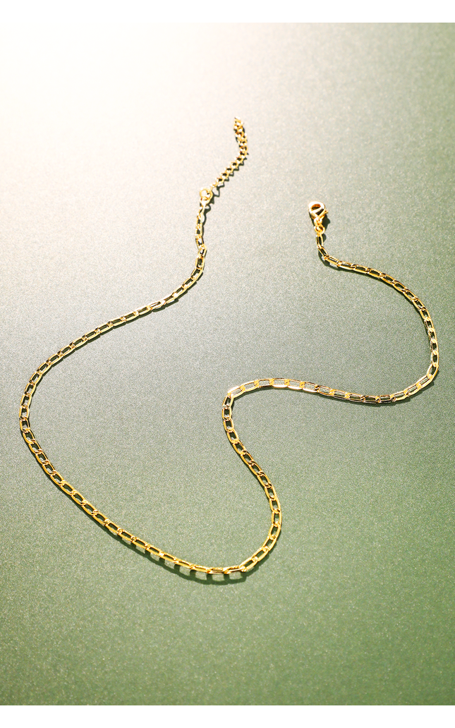 Desert Flat Chain Link Necklace