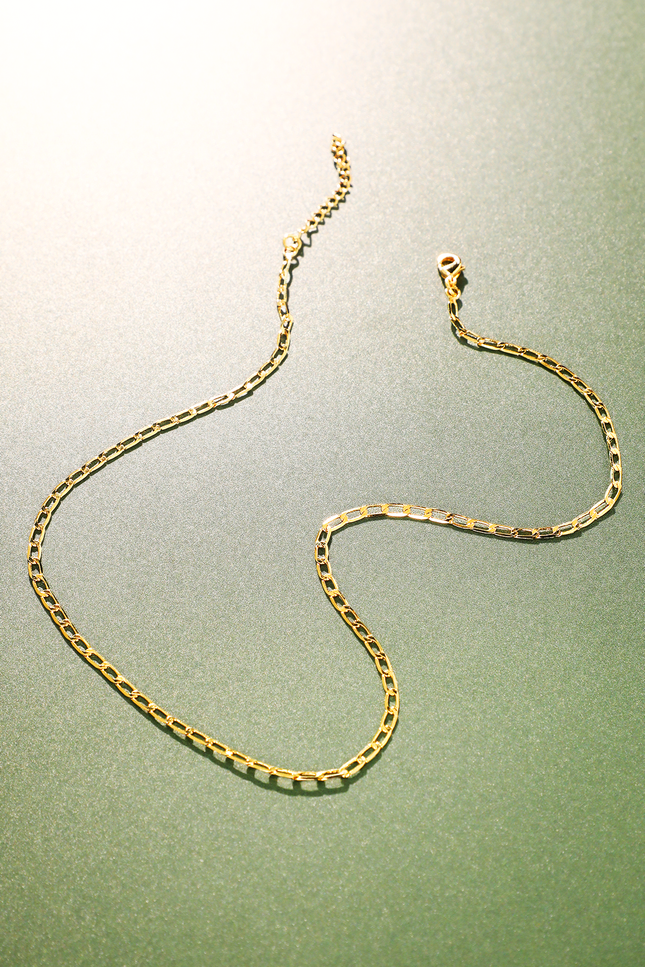 Desert Flat Chain Link Necklace