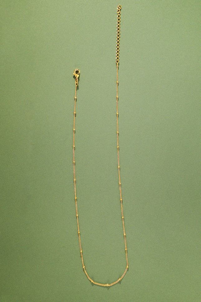 Laurel Beaded Chain Necklace