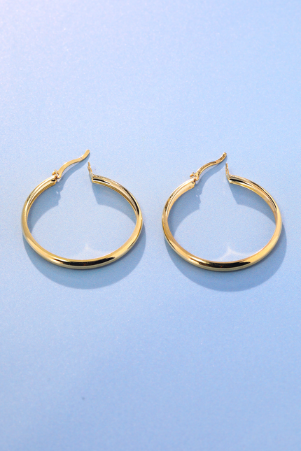 Valley Vogue Hoop Earrings