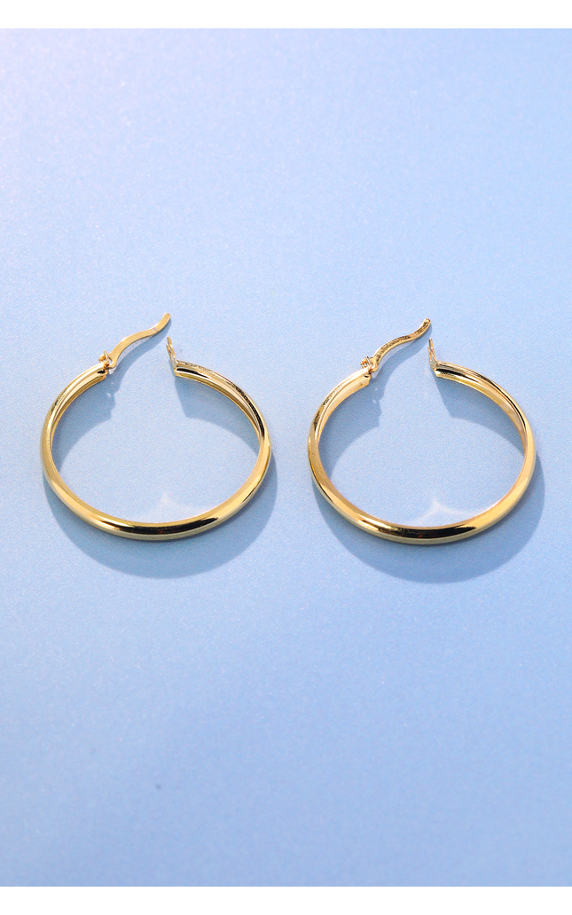 Valley Vogue Hoop Earrings