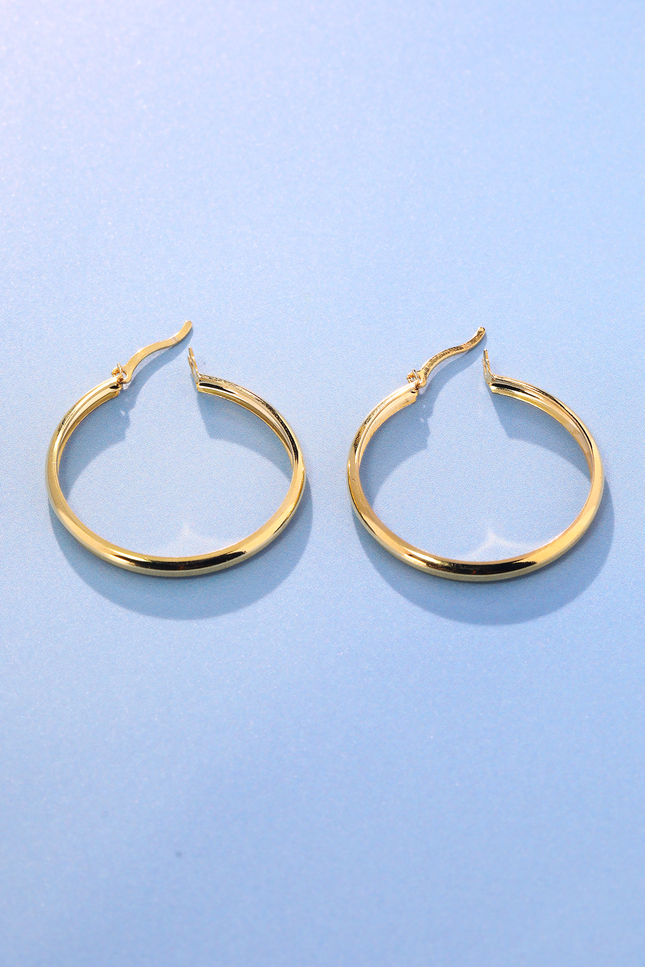 Valley Vogue Hoop Earrings