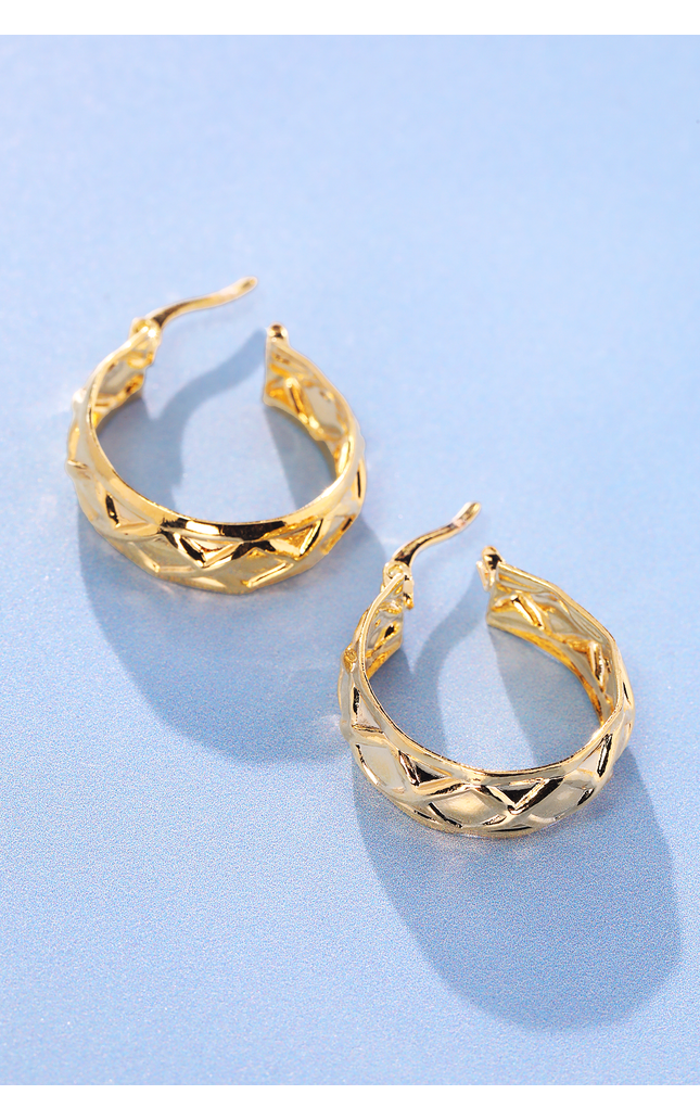 Tuscany Twist Hoop Earrings