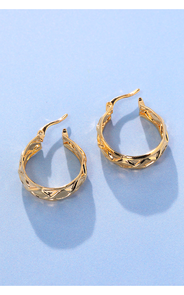 Tuscany Twist Hoop Earrings